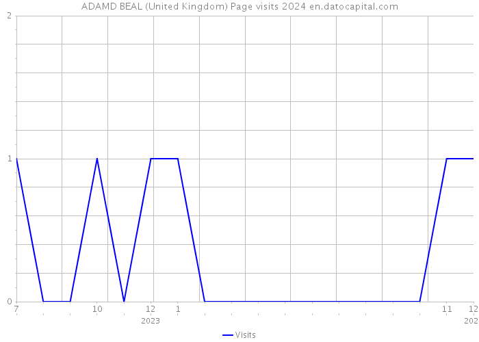 ADAMD BEAL (United Kingdom) Page visits 2024 