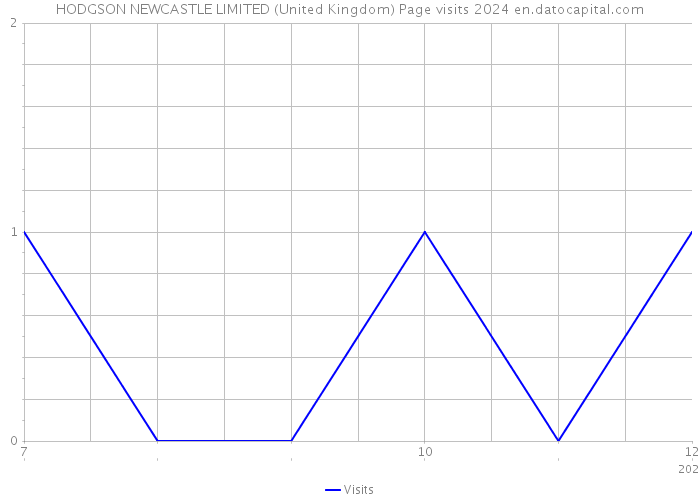 HODGSON NEWCASTLE LIMITED (United Kingdom) Page visits 2024 
