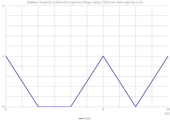 Matteo Negrini (United Kingdom) Page visits 2024 