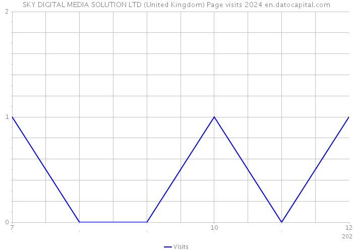 SKY DIGITAL MEDIA SOLUTION LTD (United Kingdom) Page visits 2024 