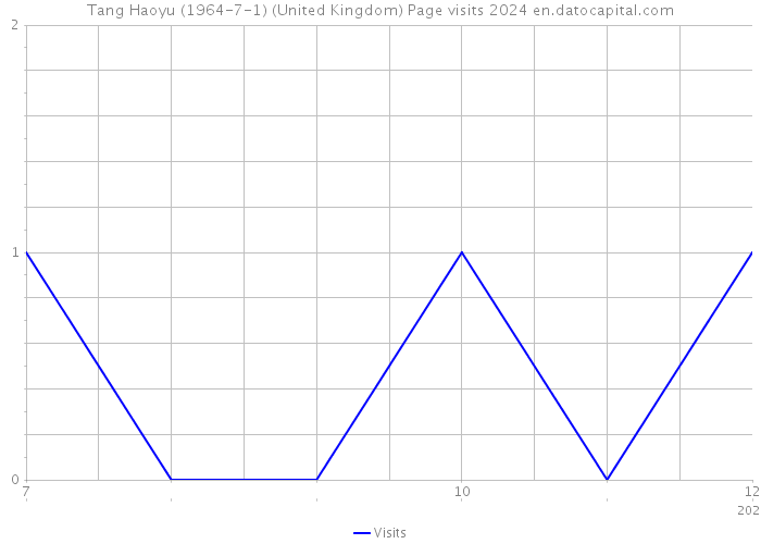 Tang Haoyu (1964-7-1) (United Kingdom) Page visits 2024 