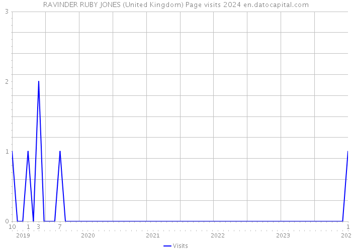 RAVINDER RUBY JONES (United Kingdom) Page visits 2024 