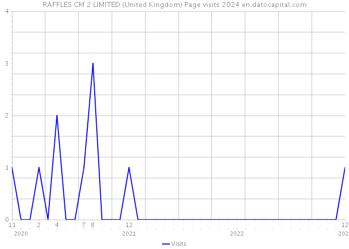 RAFFLES CM 2 LIMITED (United Kingdom) Page visits 2024 
