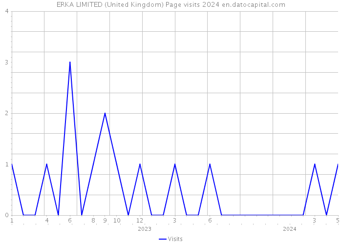 ERKA LIMITED (United Kingdom) Page visits 2024 