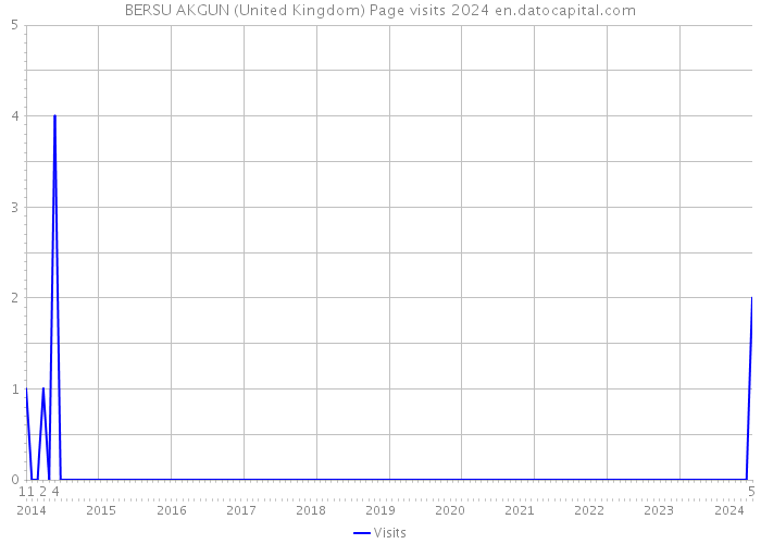 BERSU AKGUN (United Kingdom) Page visits 2024 