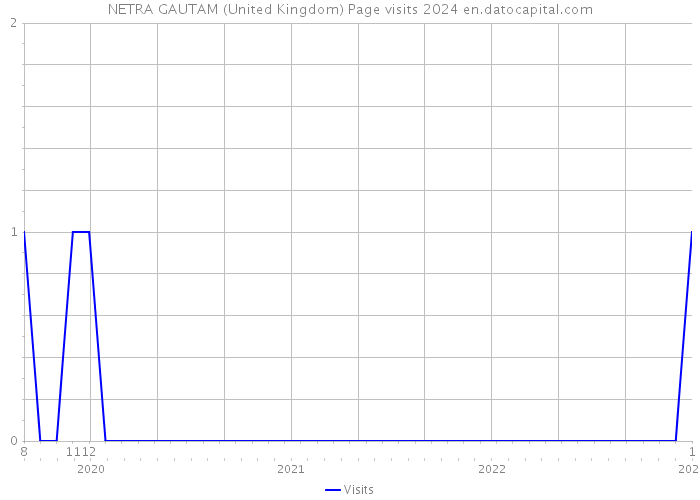 NETRA GAUTAM (United Kingdom) Page visits 2024 