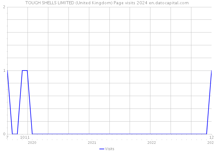 TOUGH SHELLS LIMITED (United Kingdom) Page visits 2024 