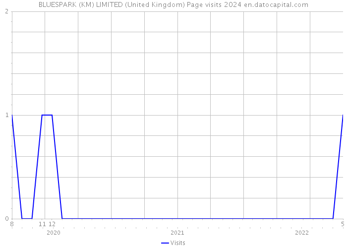 BLUESPARK (KM) LIMITED (United Kingdom) Page visits 2024 