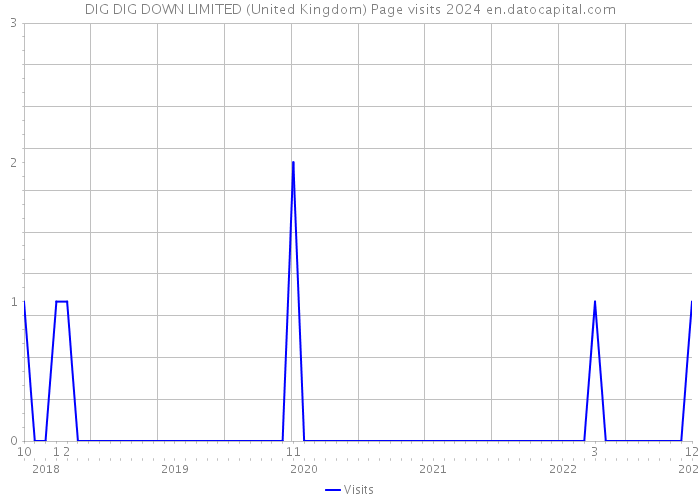 DIG DIG DOWN LIMITED (United Kingdom) Page visits 2024 