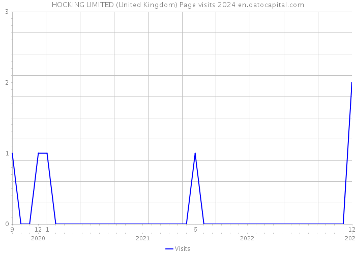 HOCKING LIMITED (United Kingdom) Page visits 2024 