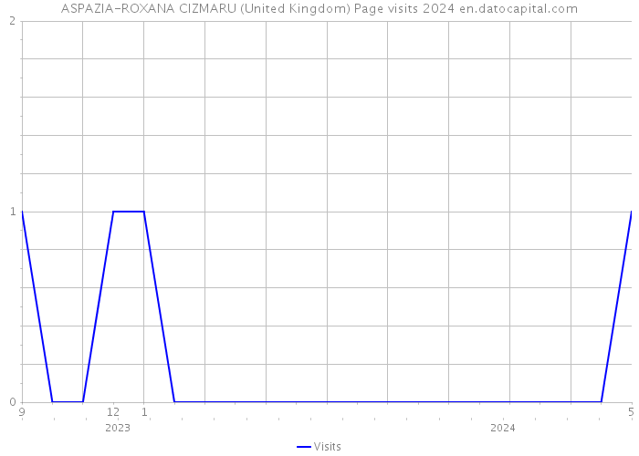 ASPAZIA-ROXANA CIZMARU (United Kingdom) Page visits 2024 