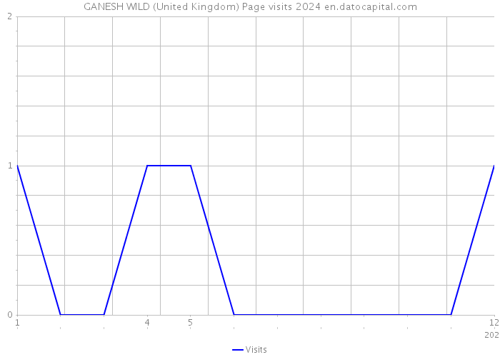 GANESH WILD (United Kingdom) Page visits 2024 