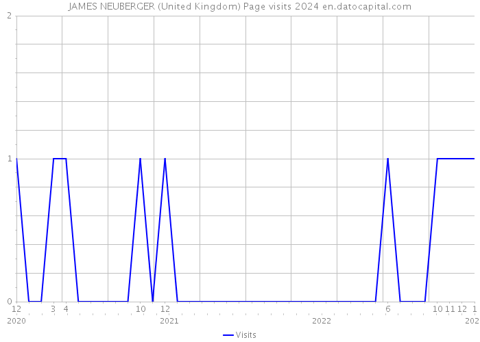 JAMES NEUBERGER (United Kingdom) Page visits 2024 