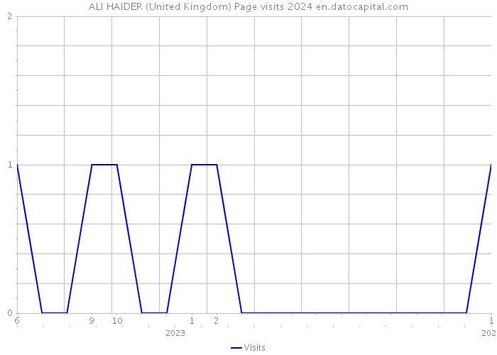 ALI HAIDER (United Kingdom) Page visits 2024 