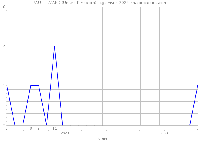 PAUL TIZZARD (United Kingdom) Page visits 2024 