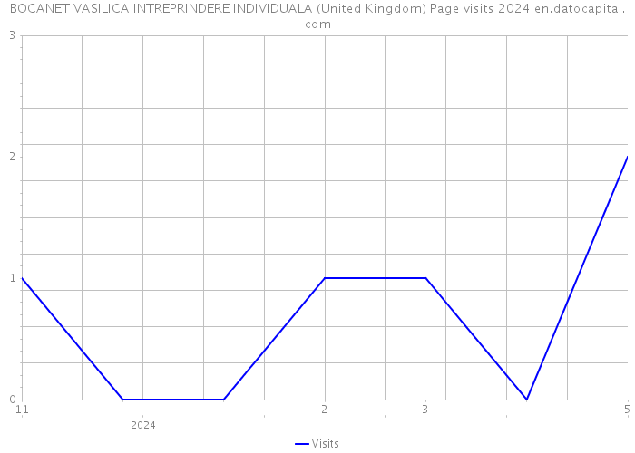 BOCANET VASILICA INTREPRINDERE INDIVIDUALA (United Kingdom) Page visits 2024 