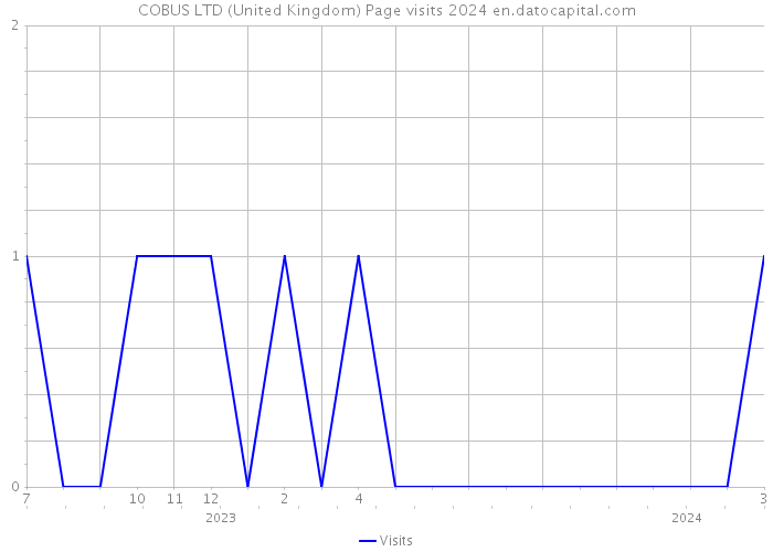 COBUS LTD (United Kingdom) Page visits 2024 
