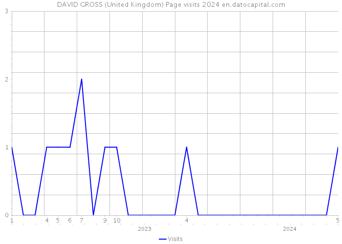 DAVID GROSS (United Kingdom) Page visits 2024 