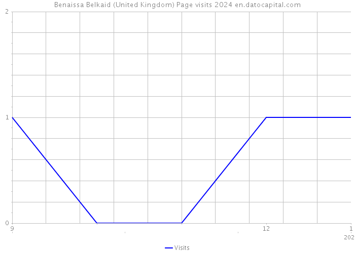 Benaissa Belkaid (United Kingdom) Page visits 2024 