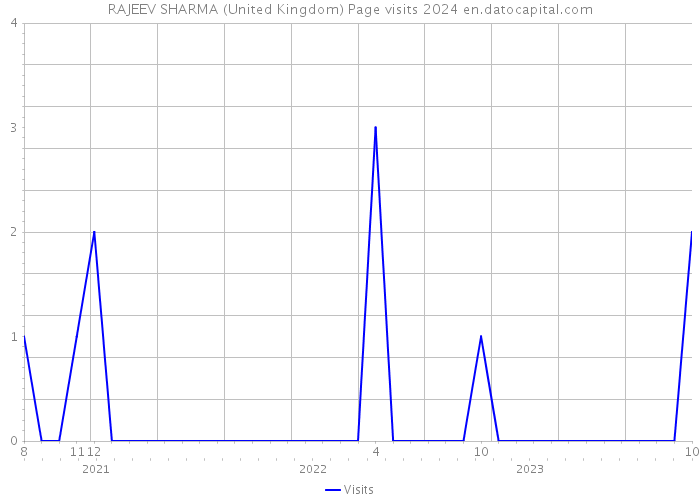 RAJEEV SHARMA (United Kingdom) Page visits 2024 