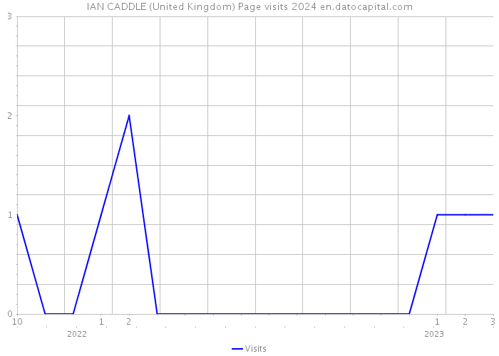 IAN CADDLE (United Kingdom) Page visits 2024 