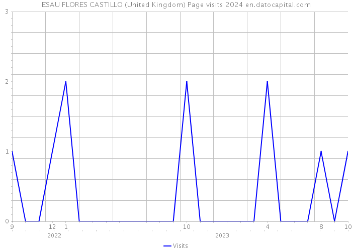 ESAU FLORES CASTILLO (United Kingdom) Page visits 2024 