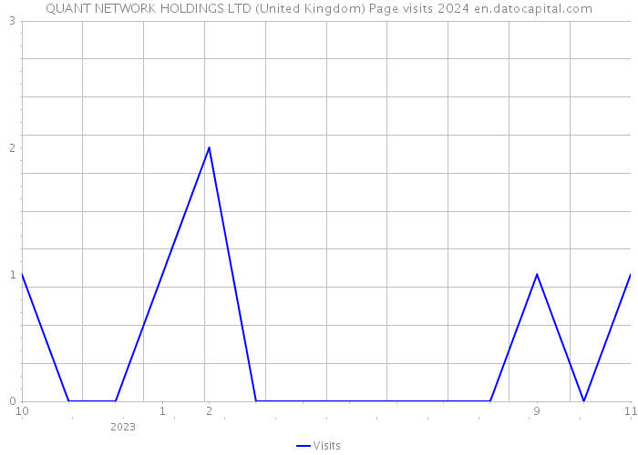 QUANT NETWORK HOLDINGS LTD (United Kingdom) Page visits 2024 
