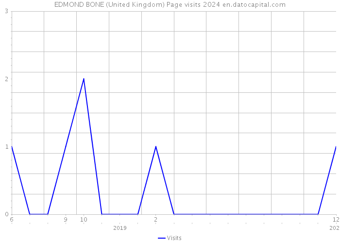 EDMOND BONE (United Kingdom) Page visits 2024 
