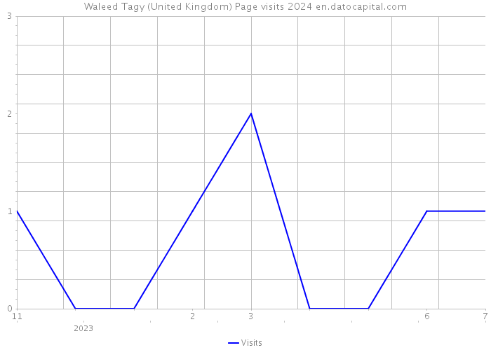Waleed Tagy (United Kingdom) Page visits 2024 