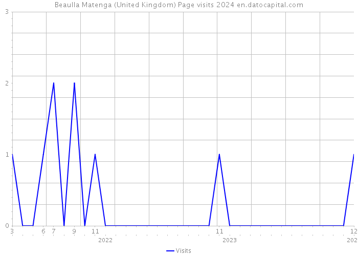 Beaulla Matenga (United Kingdom) Page visits 2024 