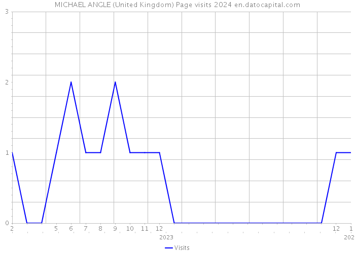 MICHAEL ANGLE (United Kingdom) Page visits 2024 
