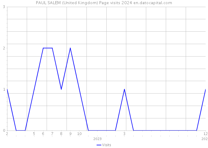 PAUL SALEM (United Kingdom) Page visits 2024 