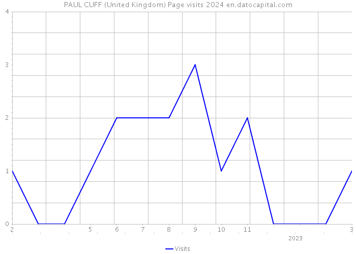 PAUL CUFF (United Kingdom) Page visits 2024 