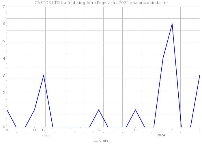 CASTOR LTD (United Kingdom) Page visits 2024 