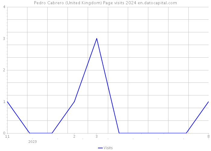 Pedro Cabrero (United Kingdom) Page visits 2024 