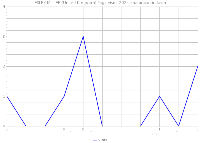 LESLEY MILLER (United Kingdom) Page visits 2024 