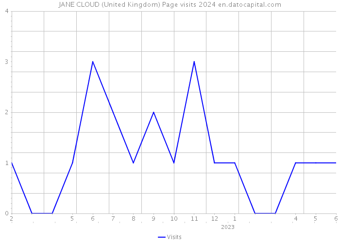 JANE CLOUD (United Kingdom) Page visits 2024 
