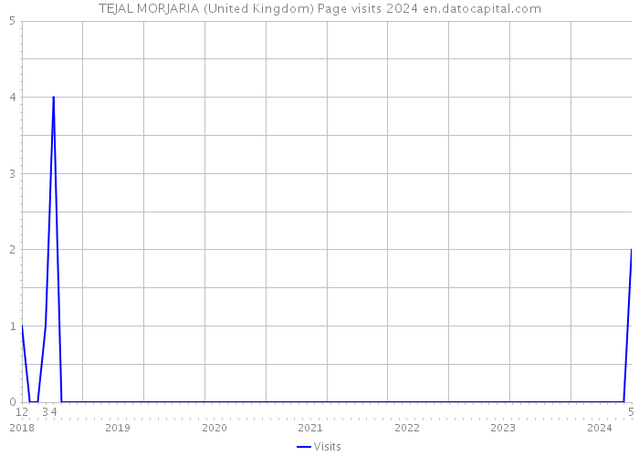 TEJAL MORJARIA (United Kingdom) Page visits 2024 