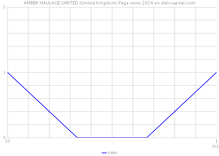 AMBER HAULAGE LIMITED (United Kingdom) Page visits 2024 
