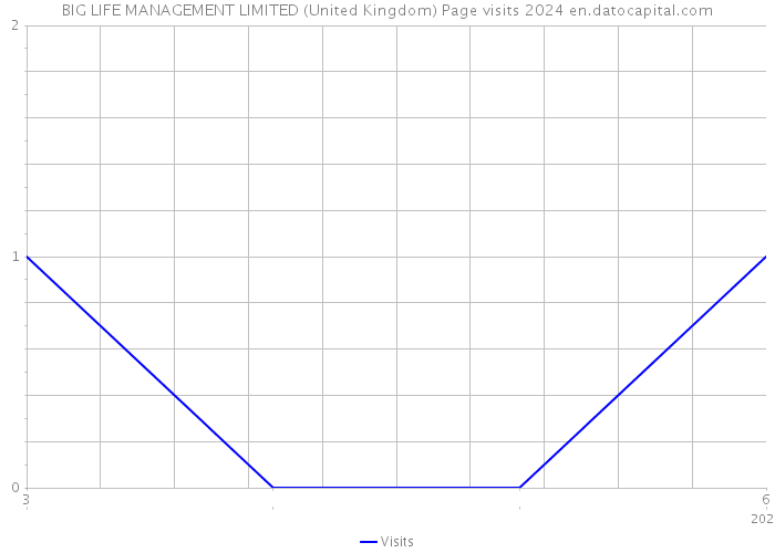 BIG LIFE MANAGEMENT LIMITED (United Kingdom) Page visits 2024 