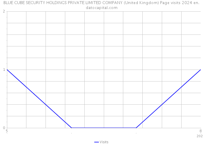 BLUE CUBE SECURITY HOLDINGS PRIVATE LIMITED COMPANY (United Kingdom) Page visits 2024 