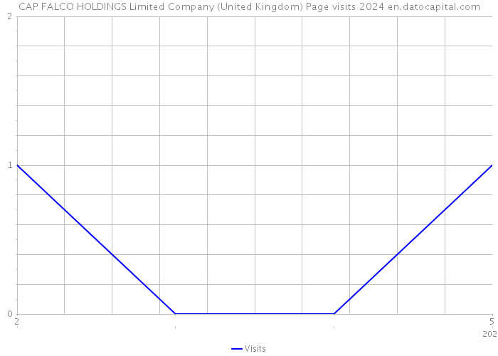 CAP FALCO HOLDINGS Limited Company (United Kingdom) Page visits 2024 