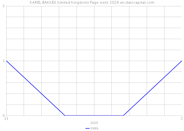 KAREL BAKKES (United Kingdom) Page visits 2024 