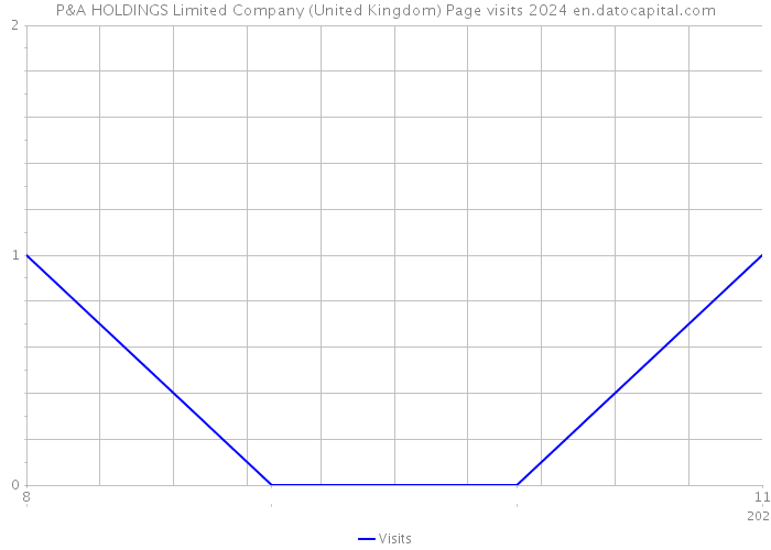 P&A HOLDINGS Limited Company (United Kingdom) Page visits 2024 