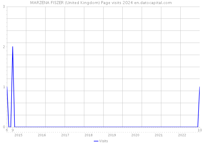 MARZENA FISZER (United Kingdom) Page visits 2024 