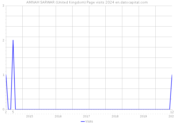 AMNAH SARWAR (United Kingdom) Page visits 2024 
