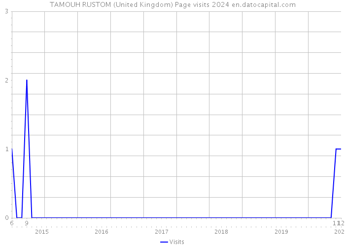 TAMOUH RUSTOM (United Kingdom) Page visits 2024 