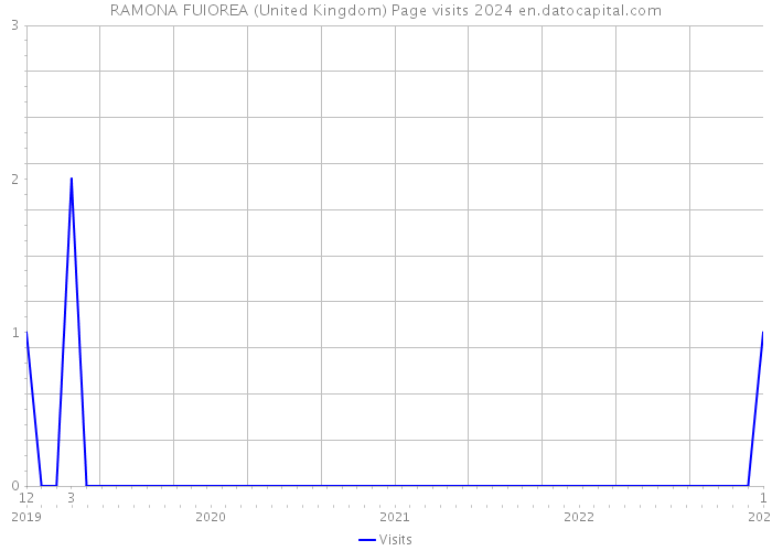 RAMONA FUIOREA (United Kingdom) Page visits 2024 