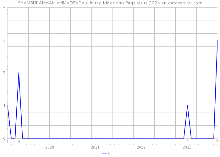 SHAMSURAHMAN AHMADZADA (United Kingdom) Page visits 2024 