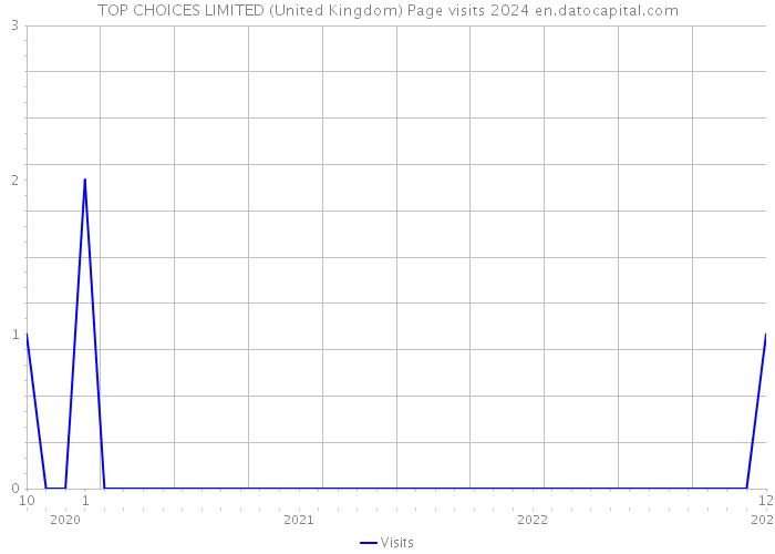 TOP CHOICES LIMITED (United Kingdom) Page visits 2024 